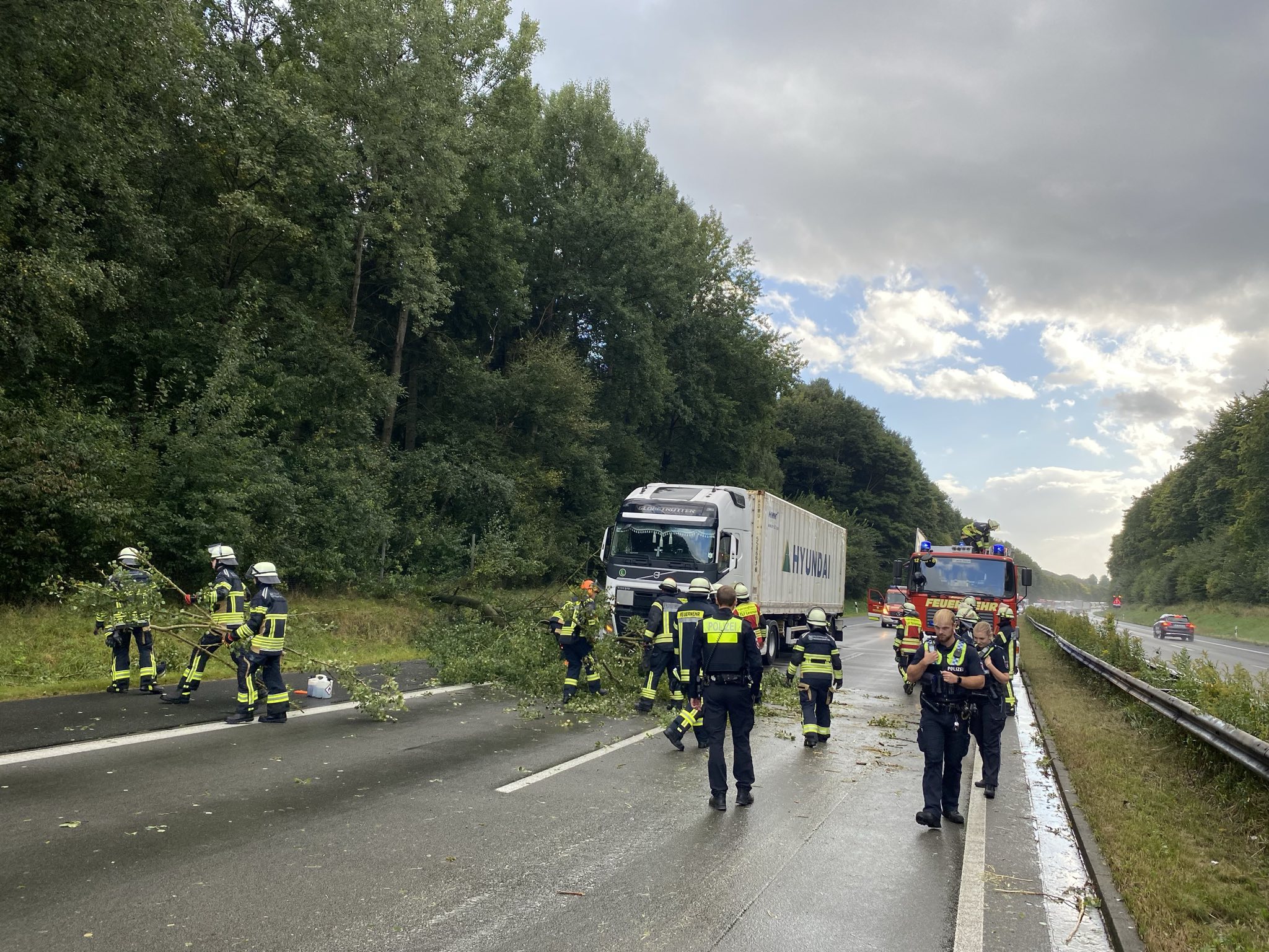 Einsatzfoto TH1 - Baum auf Straße
