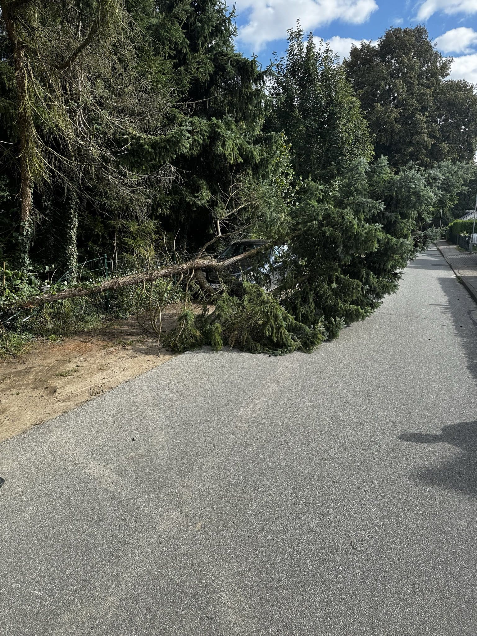 Einsatzfoto TH1 - Baum auf Straße